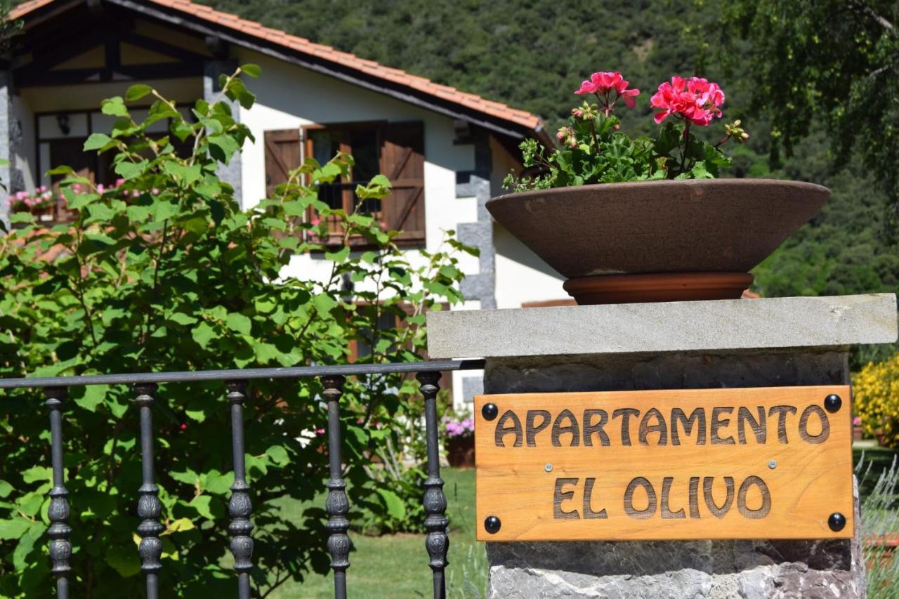 Excepcional Apartamento El Olivo Ojedo Exterior photo